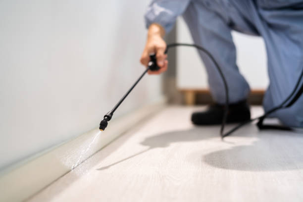 Licensed Pest Control service in Norwood, OK - Show Me Pest Control
